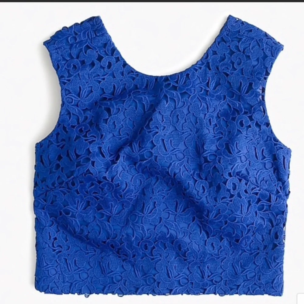 LIKE NEW JCrew Collection Lace Crop Top